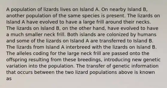 A population of lizards lives on Island A. On nearby Island B, another population of the same species is present. The lizards on Island A have evolved to have a large frill around their necks. The lizards on Island B, on the other hand, have evolved to have a much smaller neck frill. Both islands are colonized by humans and some of the lizards on Island A are transferred to Island B. The lizards from Island A interbreed with the lizards on Island B. The alleles coding for the large neck frill are passed onto the offspring resulting from these breedings, introducing new genetic variation into the population. The transfer of genetic information that occurs between the two lizard populations above is known as