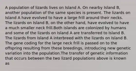 A population of lizards lives on Island A. On nearby Island B, another population of the same species is present. The lizards on Island A have evolved to have a large frill around their necks. The lizards on Island B, on the other hand, have evolved to have a much smaller neck frill.Both islands are colonized by humans and some of the lizards on Island A are transferred to Island B. The lizards from Island A interbreed with the lizards on Island B. The gene coding for the large neck frill is passed on to the offspring resulting from these breedings, introducing new genetic variation into the population.The transfer of genetic information that occurs between the two lizard populations above is known as