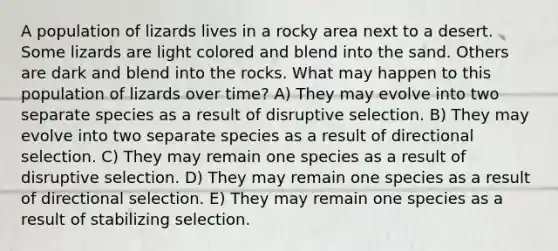 A population of lizards lives in a rocky area next to a desert. Some lizards are light colored and blend into the sand. Others are dark and blend into the rocks. What may happen to this population of lizards over time? A) They may evolve into two separate species as a result of disruptive selection. B) They may evolve into two separate species as a result of directional selection. C) They may remain one species as a result of disruptive selection. D) They may remain one species as a result of directional selection. E) They may remain one species as a result of stabilizing selection.