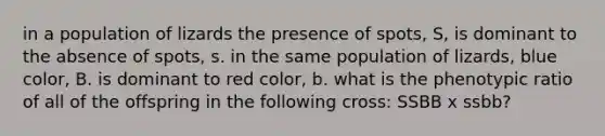 in a population of lizards the presence of spots, S, is dominant to the absence of spots, s. in the same population of lizards, blue color, B. is dominant to red color, b. what is the phenotypic ratio of all of the offspring in the following cross: SSBB x ssbb?