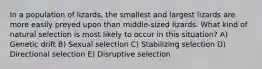 In a population of lizards, the smallest and largest lizards are more easily preyed upon than middle-sized lizards. What kind of natural selection is most likely to occur in this situation? A) Genetic drift B) Sexual selection C) Stabilizing selection D) Directional selection E) Disruptive selection