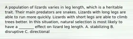 A population of lizards varies in leg length, which is a heritable trait. Their main predators are snakes. Lizards with long legs are able to run more quickly. Lizards with short legs are able to climb trees better. In this situation, natural selection is most likely to have a ________ effect on lizard leg length. A. stabilizing B. disruptive C. directional