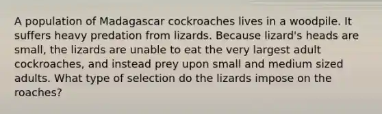 A population of Madagascar cockroaches lives in a woodpile. It suffers heavy predation from lizards. Because lizard's heads are small, the lizards are unable to eat the very largest adult cockroaches, and instead prey upon small and medium sized adults. What type of selection do the lizards impose on the roaches?