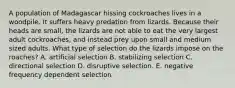 A population of Madagascar hissing cockroaches lives in a woodpile. It suffers heavy predation from lizards. Because their heads are small, the lizards are not able to eat the very largest adult cockroaches, and instead prey upon small and medium sized adults. What type of selection do the lizards impose on the roaches? A. artificial selection B. stabilizing selection C. directional selection D. disruptive selection. E. negative frequency dependent selection