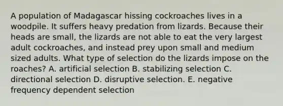 A population of Madagascar hissing cockroaches lives in a woodpile. It suffers heavy predation from lizards. Because their heads are small, the lizards are not able to eat the very largest adult cockroaches, and instead prey upon small and medium sized adults. What type of selection do the lizards impose on the roaches? A. artificial selection B. stabilizing selection C. directional selection D. disruptive selection. E. negative frequency dependent selection