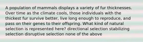 A population of mammals displays a variety of fur thicknesses. Over time as the climate cools, those individuals with the thickest fur survive better, live long enough to reproduce, and pass on their genes to their offspring. What kind of natural selection is represented here? directional selection stabilizing selection disruptive selection none of the above