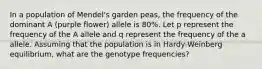 In a population of Mendel's garden peas, the frequency of the dominant A (purple flower) allele is 80%. Let p represent the frequency of the A allele and q represent the frequency of the a allele. Assuming that the population is in Hardy-Weinberg equilibrium, what are the genotype frequencies?