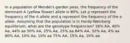 In a population of Mendel's garden peas, the frequency of the dominant A (yellow flower) allele is 80%. Let p represent the frequency of the A allele and q represent the frequency of the a allele. Assuming that the population is in Hardy-Weinberg equilibrium, what are the genotype frequencies? 16% AA, 40% Aa, 44% aa 50% AA, 25% Aa, 25% aa 64% AA, 32% Aa, 4% aa 80% AA, 10% Aa, 10% aa 75% AA, 15% Aa, 10% aa