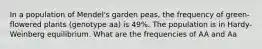 In a population of Mendel's garden peas, the frequency of green-flowered plants (genotype aa) is 49%. The population is in Hardy-Weinberg equilibrium. What are the frequencies of AA and Aa