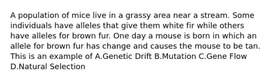 A population of mice live in a grassy area near a stream. Some individuals have alleles that give them white fir while others have alleles for brown fur. One day a mouse is born in which an allele for brown fur has change and causes the mouse to be tan. This is an example of A.Genetic Drift B.Mutation C.Gene Flow D.Natural Selection