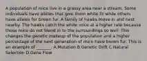A population of mice live in a grassy area near a stream. Some individuals have alleles that give them white fir while others have alleles for brown fur. A family of hawks move in and nest nearby. The hawks catch the white mice at a higher rate because those mice do not blend in to the surroundings so well. This changes the genetic makeup of the population and a higher percentage of the next generation of mice have brown fur. This is an example of _______. A.Mutation B.Genetic Drift C.Natural Selection D.Gene Flow
