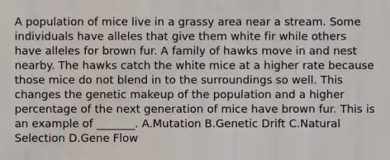 A population of mice live in a grassy area near a stream. Some individuals have alleles that give them white fir while others have alleles for brown fur. A family of hawks move in and nest nearby. The hawks catch the white mice at a higher rate because those mice do not blend in to the surroundings so well. This changes the genetic makeup of the population and a higher percentage of the next generation of mice have brown fur. This is an example of _______. A.Mutation B.Genetic Drift C.Natural Selection D.Gene Flow