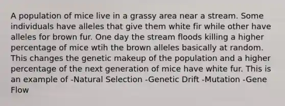 A population of mice live in a grassy area near a stream. Some individuals have alleles that give them white fir while other have alleles for brown fur. One day the stream floods killing a higher percentage of mice wtih the brown alleles basically at random. This changes the genetic makeup of the population and a higher percentage of the next generation of mice have white fur. This is an example of -Natural Selection -Genetic Drift -Mutation -Gene Flow