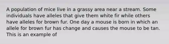 A population of mice live in a grassy area near a stream. Some individuals have alleles that give them white fir while others have alleles for brown fur. One day a mouse is born in which an allele for brown fur has change and causes the mouse to be tan. This is an example of