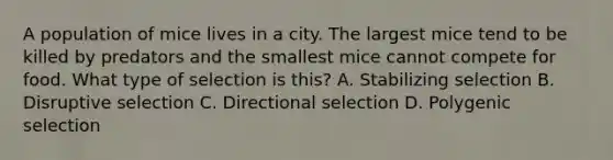 A population of mice lives in a city. The largest mice tend to be killed by predators and the smallest mice cannot compete for food. What type of selection is this? A. Stabilizing selection B. Disruptive selection C. Directional selection D. Polygenic selection