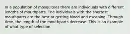 In a population of mosquitoes there are individuals with different lengths of mouthparts. The individuals with the shortest mouthparts are the best at getting blood and escaping. Through time, the length of the mouthparts decrease. This is an example of what type of selection.