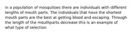 in a population of mosquitoes there are individuals with different lengths of mouth parts. The individuals that have the shortest mouth parts are the best at getting blood and escaping. Through the length of the mouthparts decrease this is an example of what type of selection
