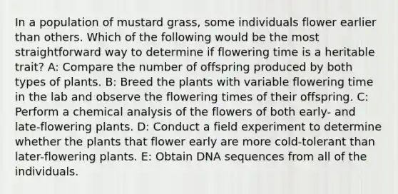 In a population of mustard grass, some individuals flower earlier than others. Which of the following would be the most straightforward way to determine if flowering time is a heritable trait? A: Compare the number of offspring produced by both types of plants. B: Breed the plants with variable flowering time in the lab and observe the flowering times of their offspring. C: Perform a chemical analysis of the flowers of both early- and late-flowering plants. D: Conduct a field experiment to determine whether the plants that flower early are more cold-tolerant than later-flowering plants. E: Obtain DNA sequences from all of the individuals.