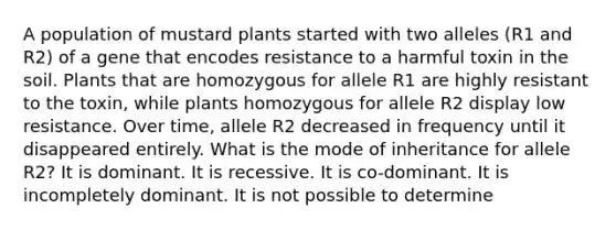 A population of mustard plants started with two alleles (R1 and R2) of a gene that encodes resistance to a harmful toxin in the soil. Plants that are homozygous for allele R1 are highly resistant to the toxin, while plants homozygous for allele R2 display low resistance. Over time, allele R2 decreased in frequency until it disappeared entirely. What is the mode of inheritance for allele R2? It is dominant. It is recessive. It is co-dominant. It is incompletely dominant. It is not possible to determine