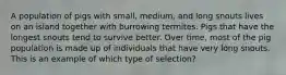 A population of pigs with small, medium, and long snouts lives on an island together with burrowing termites. Pigs that have the longest snouts tend to survive better. Over time, most of the pig population is made up of individuals that have very long snouts. This is an example of which type of selection?