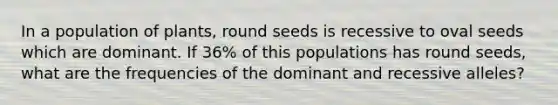 In a population of plants, round seeds is recessive to oval seeds which are dominant. If 36% of this populations has round seeds, what are the frequencies of the dominant and recessive alleles?