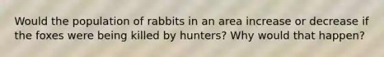 Would the population of rabbits in an area increase or decrease if the foxes were being killed by hunters? Why would that happen?