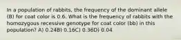 In a population of rabbits, the frequency of the dominant allele (B) for coat color is 0.6. What is the frequency of rabbits with the homozygous recessive genotype for coat color (bb) in this population? A) 0.24B) 0.16C) 0.36D) 0.04