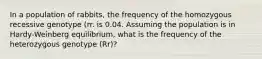 In a population of rabbits, the frequency of the homozygous recessive genotype (rr. is 0.04. Assuming the population is in Hardy-Weinberg equilibrium, what is the frequency of the heterozygous genotype (Rr)?