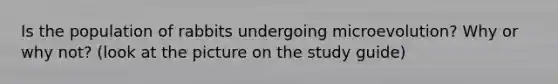 Is the population of rabbits undergoing microevolution? Why or why not? (look at the picture on the study guide)