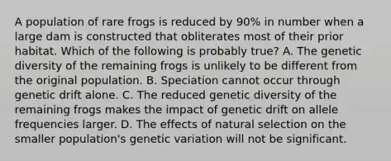 A population of rare frogs is reduced by 90% in number when a large dam is constructed that obliterates most of their prior habitat. Which of the following is probably true? A. The genetic diversity of the remaining frogs is unlikely to be different from the original population. B. Speciation cannot occur through genetic drift alone. C. The reduced genetic diversity of the remaining frogs makes the impact of genetic drift on allele frequencies larger. D. The effects of natural selection on the smaller population's genetic variation will not be significant.