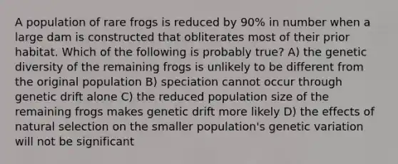 A population of rare frogs is reduced by 90% in number when a large dam is constructed that obliterates most of their prior habitat. Which of the following is probably true? A) the genetic diversity of the remaining frogs is unlikely to be different from the original population B) speciation cannot occur through genetic drift alone C) the reduced population size of the remaining frogs makes genetic drift more likely D) the effects of natural selection on the smaller population's genetic variation will not be significant