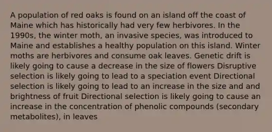 A population of red oaks is found on an island off the coast of Maine which has historically had very few herbivores. In the 1990s, the winter moth, an invasive species, was introduced to Maine and establishes a healthy population on this island. Winter moths are herbivores and consume oak leaves. Genetic drift is likely going to cause a decrease in the size of flowers Disruptive selection is likely going to lead to a speciation event Directional selection is likely going to lead to an increase in the size and and brightness of fruit Directional selection is likely going to cause an increase in the concentration of phenolic compounds (secondary metabolites), in leaves