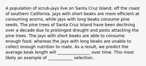 A population of scrub-jays live on Santa Cruz Island, off the coast of southern California. Jays with short beaks are more efficient at consuming acorns, while jays with long beaks consume pine seeds. The pine trees of Santa Cruz Island have been declining over a decade due to prolonged drought and pests attacking the pine trees. The jays with short beaks are able to consume enough food, whereas the jays with long beaks are unable to collect enough nutrition to mate. As a result, we predict the average beak length will ________________ over time. This most likely an example of ____________ selection.