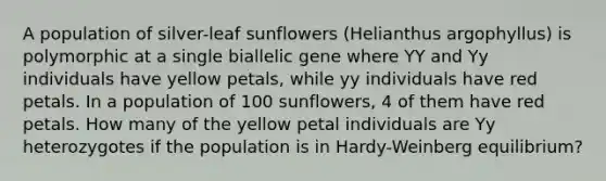 A population of silver-leaf sunflowers (Helianthus argophyllus) is polymorphic at a single biallelic gene where YY and Yy individuals have yellow petals, while yy individuals have red petals. In a population of 100 sunflowers, 4 of them have red petals. How many of the yellow petal individuals are Yy heterozygotes if the population is in Hardy-Weinberg equilibrium?