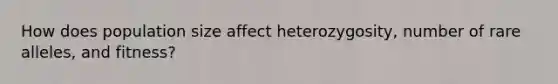 How does population size affect heterozygosity, number of rare alleles, and fitness?