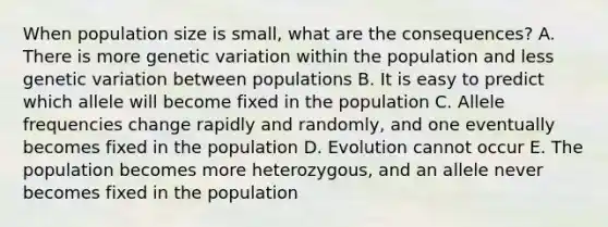 When population size is small, what are the consequences? A. There is more genetic variation within the population and less genetic variation between populations B. It is easy to predict which allele will become fixed in the population C. Allele frequencies change rapidly and randomly, and one eventually becomes fixed in the population D. Evolution cannot occur E. The population becomes more heterozygous, and an allele never becomes fixed in the population