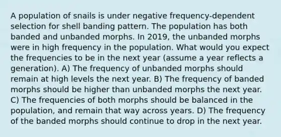 A population of snails is under negative frequency-dependent selection for shell banding pattern. The population has both banded and unbanded morphs. In 2019, the unbanded morphs were in high frequency in the population. What would you expect the frequencies to be in the next year (assume a year reflects a generation). A) The frequency of unbanded morphs should remain at high levels the next year. B) The frequency of banded morphs should be higher than unbanded morphs the next year. C) The frequencies of both morphs should be balanced in the population, and remain that way across years. D) The frequency of the banded morphs should continue to drop in the next year.