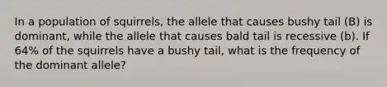 In a population of squirrels, the allele that causes bushy tail (B) is dominant, while the allele that causes bald tail is recessive (b). If 64% of the squirrels have a bushy tail, what is the frequency of the dominant allele?