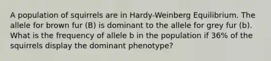 A population of squirrels are in Hardy-Weinberg Equilibrium. The allele for brown fur (B) is dominant to the allele for grey fur (b). What is the frequency of allele b in the population if 36% of the squirrels display the dominant phenotype?