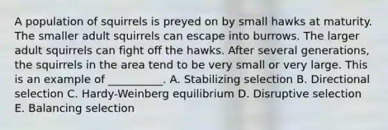 A population of squirrels is preyed on by small hawks at maturity. The smaller adult squirrels can escape into burrows. The larger adult squirrels can fight off the hawks. After several generations, the squirrels in the area tend to be very small or very large. This is an example of __________. A. Stabilizing selection B. Directional selection C. Hardy-Weinberg equilibrium D. Disruptive selection E. Balancing selection