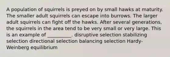 A population of squirrels is preyed on by small hawks at maturity. The smaller adult squirrels can escape into burrows. The larger adult squirrels can fight off the hawks. After several generations, the squirrels in the area tend to be very small or very large. This is an example of __________. disruptive selection stabilizing selection directional selection balancing selection Hardy-Weinberg equilibrium