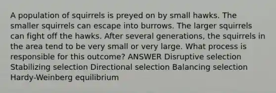 A population of squirrels is preyed on by small hawks. The smaller squirrels can escape into burrows. The larger squirrels can fight off the hawks. After several generations, the squirrels in the area tend to be very small or very large. What process is responsible for this outcome? ANSWER Disruptive selection Stabilizing selection Directional selection Balancing selection Hardy-Weinberg equilibrium