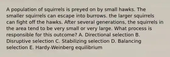 A population of squirrels is preyed on by small hawks. The smaller squirrels can escape into burrows. the larger squirrels can fight off the hawks. After several generations, the squirrels in the area tend to be very small or very large. What process is responsible for this outcome? A. Directional selection B. Disruptive selection C. Stabilizing selection D. Balancing selection E. Hardy-Weinberg equilibrium