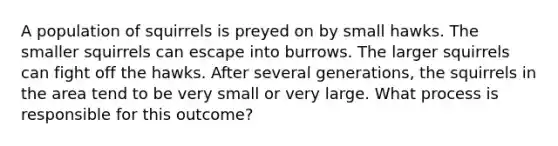 A population of squirrels is preyed on by small hawks. The smaller squirrels can escape into burrows. The larger squirrels can fight off the hawks. After several generations, the squirrels in the area tend to be very small or very large. What process is responsible for this outcome?