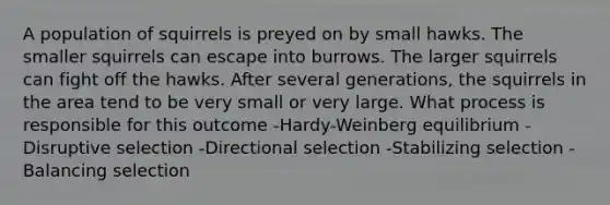 A population of squirrels is preyed on by small hawks. The smaller squirrels can escape into burrows. The larger squirrels can fight off the hawks. After several generations, the squirrels in the area tend to be very small or very large. What process is responsible for this outcome -Hardy-Weinberg equilibrium -Disruptive selection -Directional selection -Stabilizing selection -Balancing selection