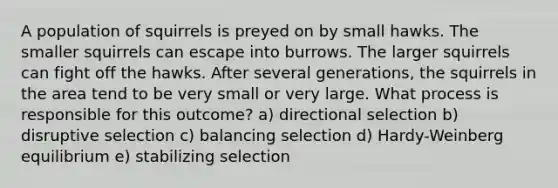 A population of squirrels is preyed on by small hawks. The smaller squirrels can escape into burrows. The larger squirrels can fight off the hawks. After several generations, the squirrels in the area tend to be very small or very large. What process is responsible for this outcome? a) directional selection b) disruptive selection c) balancing selection d) Hardy-Weinberg equilibrium e) stabilizing selection