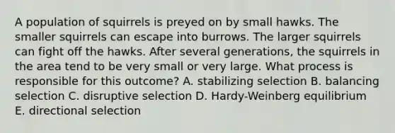 A population of squirrels is preyed on by small hawks. The smaller squirrels can escape into burrows. The larger squirrels can fight off the hawks. After several generations, the squirrels in the area tend to be very small or very large. What process is responsible for this outcome? A. stabilizing selection B. balancing selection C. disruptive selection D. Hardy-Weinberg equilibrium E. directional selection