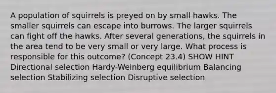 A population of squirrels is preyed on by small hawks. The smaller squirrels can escape into burrows. The larger squirrels can fight off the hawks. After several generations, the squirrels in the area tend to be very small or very large. What process is responsible for this outcome? (Concept 23.4) SHOW HINT Directional selection Hardy-Weinberg equilibrium Balancing selection Stabilizing selection Disruptive selection