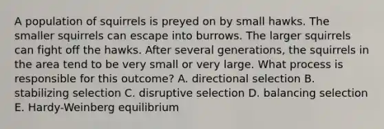 A population of squirrels is preyed on by small hawks. The smaller squirrels can escape into burrows. The larger squirrels can fight off the hawks. After several generations, the squirrels in the area tend to be very small or very large. What process is responsible for this outcome? A. directional selection B. stabilizing selection C. disruptive selection D. balancing selection E. Hardy-Weinberg equilibrium