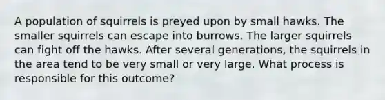 A population of squirrels is preyed upon by small hawks. The smaller squirrels can escape into burrows. The larger squirrels can fight off the hawks. After several generations, the squirrels in the area tend to be very small or very large. What process is responsible for this outcome?